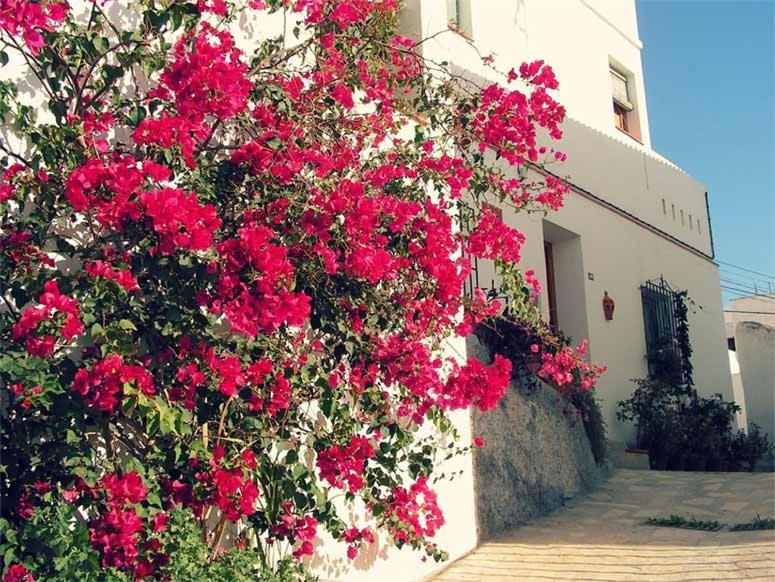 Apartamento Jardines Del Mar Salobreña Exterior foto